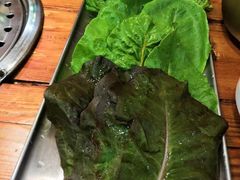 有机生菜拼盘-松林阁烤肉(延大店)