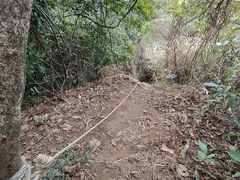 -梧桐山风景名胜区