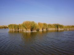 -亿利库布其七星湖沙漠生态旅游区