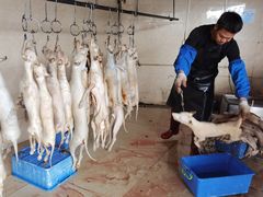 -宁大姐第一家脆皮狗肉馆(江滨路店)
