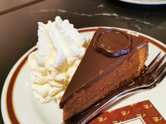 萨赫蛋糕-Cafe Sacher(WIEN)