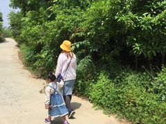 -青龙山国家森林公园