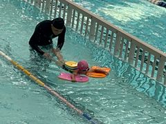 -七宝中学游泳馆