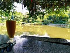 -小洲村