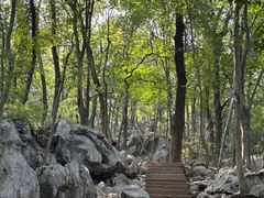 -灵隐飞来峰景区