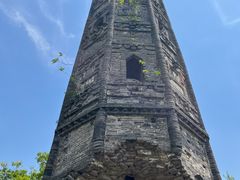 -上海佘山国家森林公园天马山园