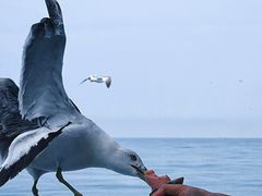-海驴岛(荣成市)