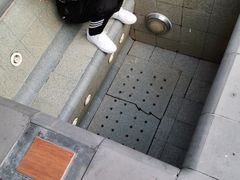 -候鸟水榕庄度假酒店