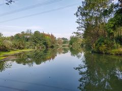 -桤木河湿地公园