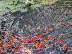 -南普陀素菜馆