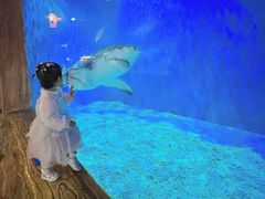 -华夏文旅西安度假区