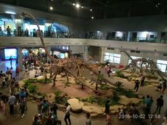 -自贡恐龙博物馆