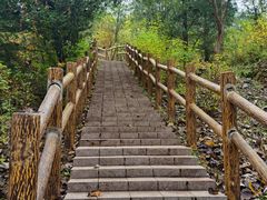 -白水寺森林公园