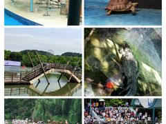 -宁波野生动物园