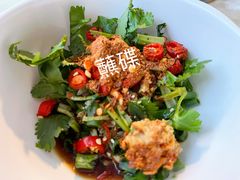 -蘑统田下·野生菌火锅