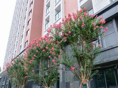 -四川大学(江安校区)