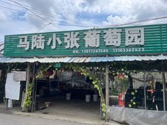 -马陆小张葡萄园农家乐