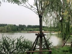 -东郊湿地公园