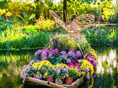 -上海共青森林公园