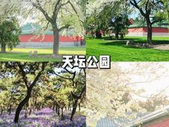 -颐和园