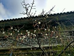 -尚贤河湿地