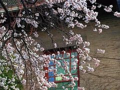 -山东大学(趵突泉校区)