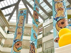 -光启城时尚购物中心