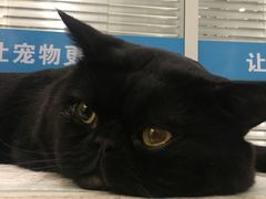 -美迦爱-牙专科·兔科·骨科诊疗中心(北苑店)