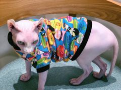 -藏猫猫咖啡主题馆(中央大道店)