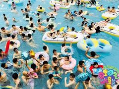 -重庆海昌加勒比海水世界
