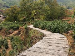 -塔川景区