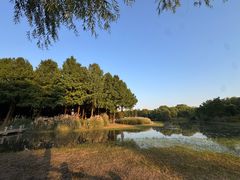 -长广溪湿地公园
