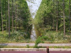 -黄海国家森林公园