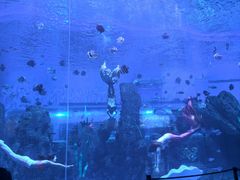-石家庄极地海洋世界