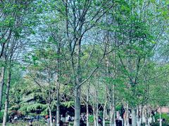 景点-睦南公园
