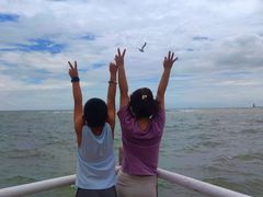 -日照灯塔风景区