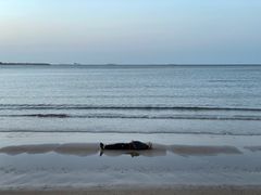 -金梦海湾浴场