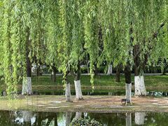-橘洲1925湖湘餐厅