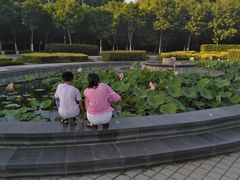 -洛阳市隋唐城遗址植物园