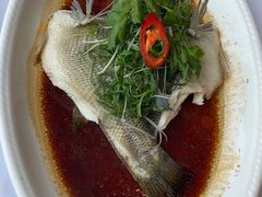 清蒸鲈鱼-沙河粉村·国家非遗传承(云台店)