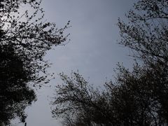 -八大山人梅湖景区