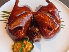 -南海渔村·徐博馆(琶洲店-粤菜养生宴)