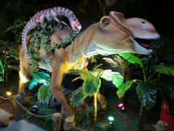 -恐龙探索乐园(磁器口店)