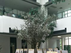 -苏州图书馆(人民路总馆)