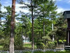 -黑龙江省森林植物园