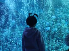 -哈尔滨波塞冬海底世界