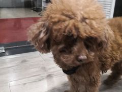 -FIGHTMAN格斗俱乐部(长宁临空店)