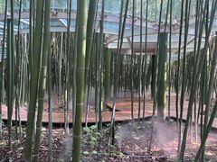 -竹泉村旅游度假区