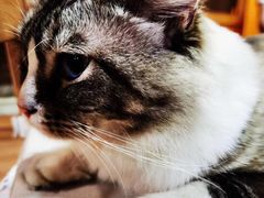 -白兔子密室(长寿路店)