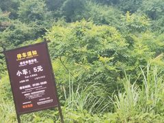 -五龙源极限漂流